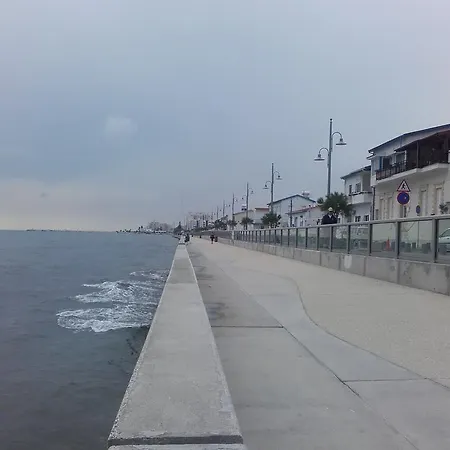Direct Elena * Larnaca